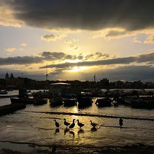 https://casa-verde-bari.barihotels.org